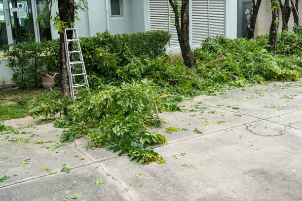 Seasonal Cleanup (Spring/Fall) in Centerville, SC